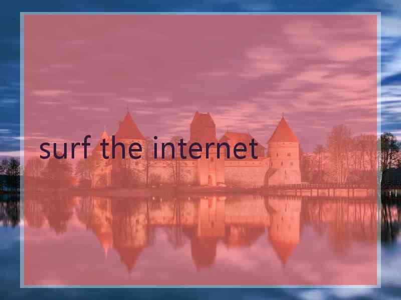 surf the internet