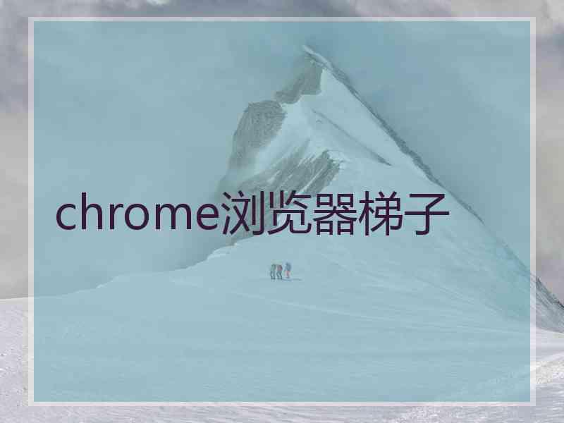 chrome浏览器梯子