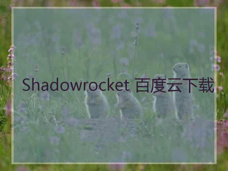 Shadowrocket 百度云下载