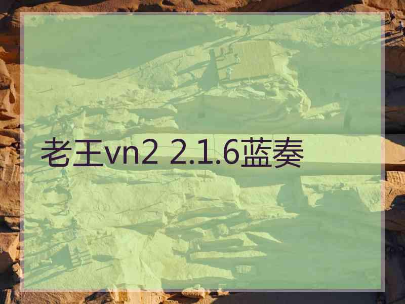 老王vn2 2.1.6蓝奏