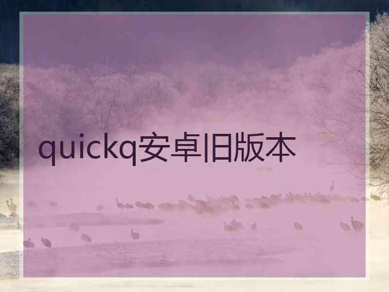 quickq安卓旧版本