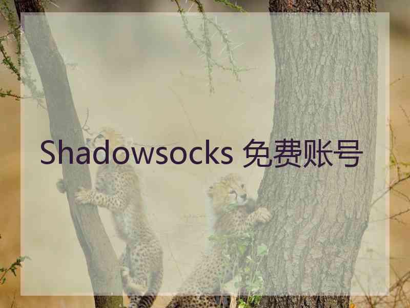 Shadowsocks 免费账号